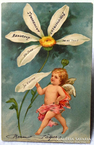 Antik dombornyomott  üdvözlő képeslap -  angyalka  szeret-nem szeret margaréta virággal 1904
