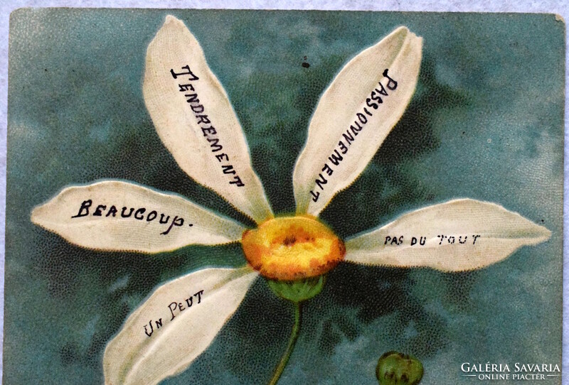 Antik dombornyomott  üdvözlő képeslap -  angyalka  szeret-nem szeret margaréta virággal 1904