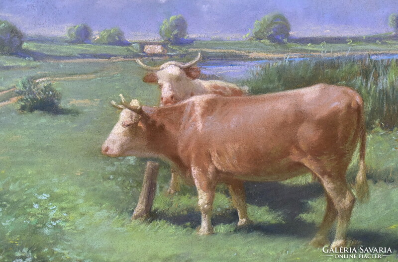 Sándor (?) jelzéssel XX. sz eleje : TEHENEK A RÉTEN