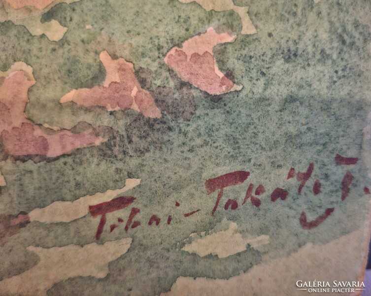 Tibai Takács János (1876-1953) Tabáni park részlet.  Akvarell/papír.  49x36cm, kerete nincs.
