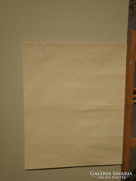 - Bordás Ferenc : Vadvirágok