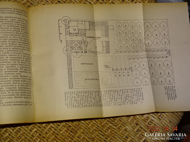 MOHÁCSY MÁTYÁS : GYÜMÖLCSTERMESZTÉS A HÁZI ÉS HÁZTÁJI KERTEKBEN 1959