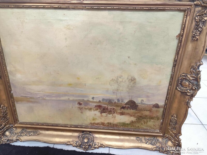 Olgyay Ferenc  Tehenek