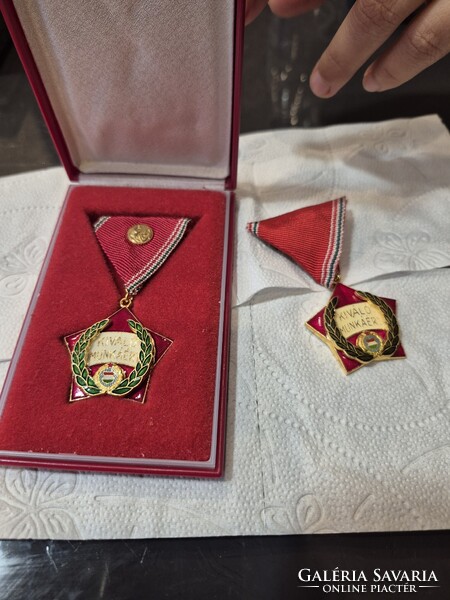 Kitüntetés jelvény