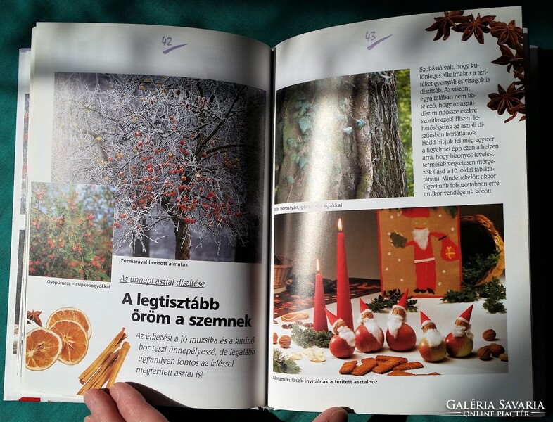 H. Linse: Adventi díszek a természet kincseiből > Hobbi > Kézművesség, barkácsolás