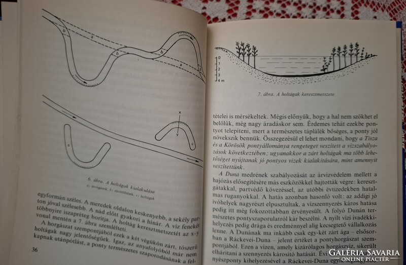 A ponty és horgászata ( MOHOSZ   1980.)