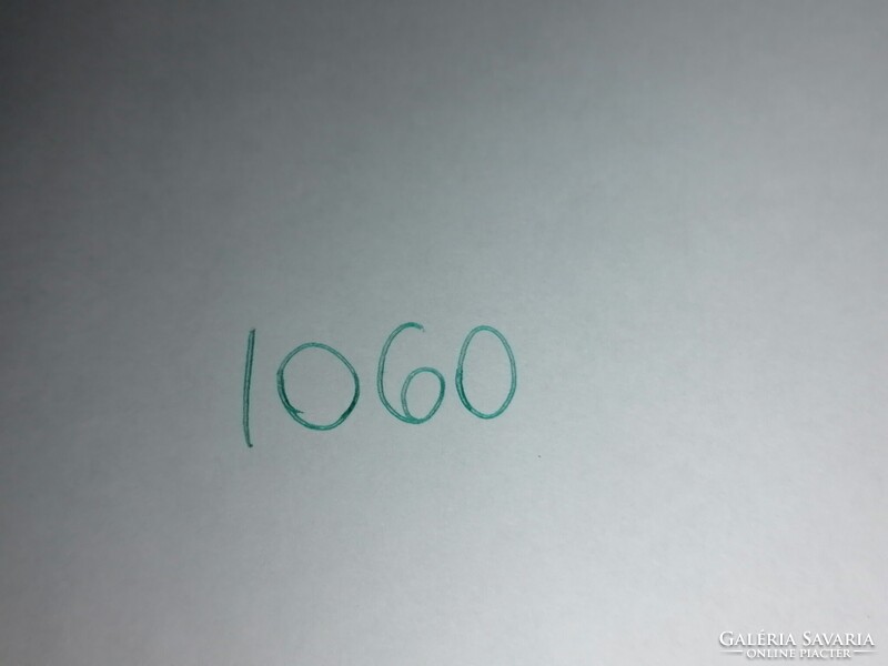 Csíz (Csíz fürdő) az igazgató magán háza park részlettel  1909-ben     1060.