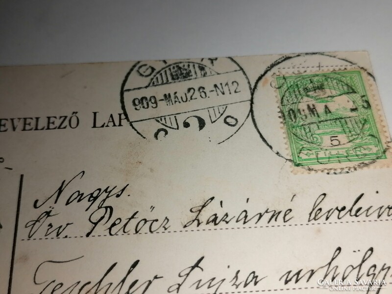 Csíz (Csíz fürdő) az igazgató magán háza park részlettel  1909-ben     1060.