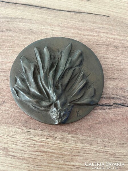 R. Kiss Lenke - plakett