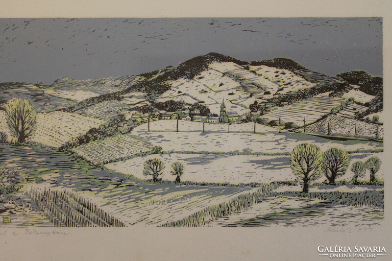 Csavlek András - Tél a Bakonyban