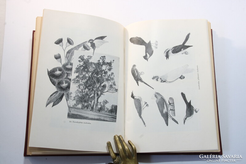 1927 - Gubányi Károly - Ausztrália A Magyar Földrajzi Társaság Könyvtára - Nagyon Szép !!