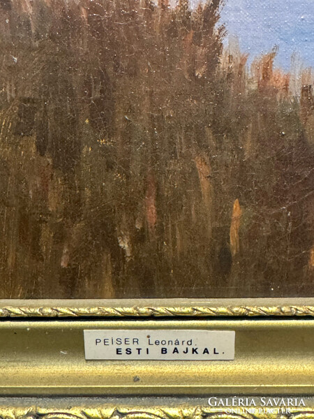 Peiser Leonárd - Esti bajkál
