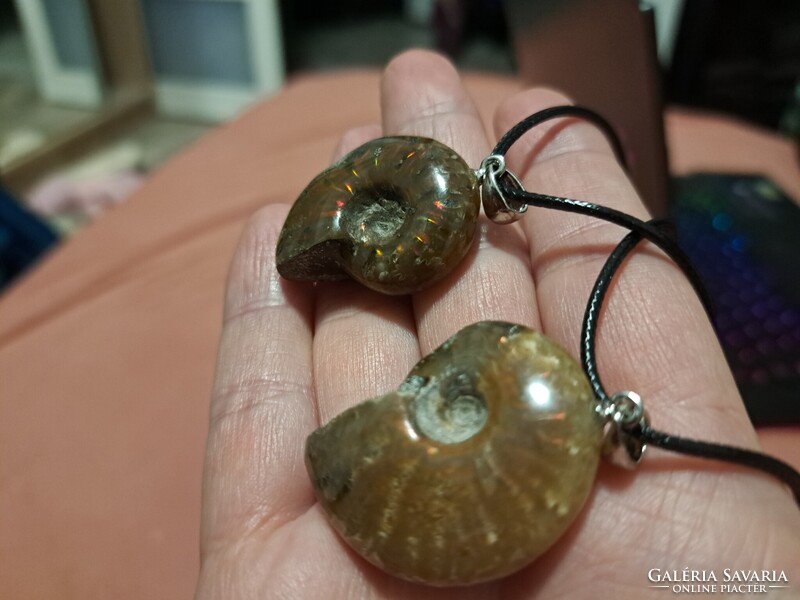 Kuriózum! Madagaszkári ammonitesz medálok