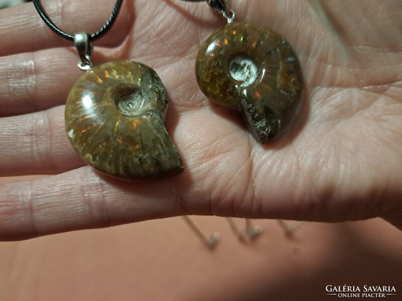 Kuriózum! Madagaszkári ammonitesz medálok