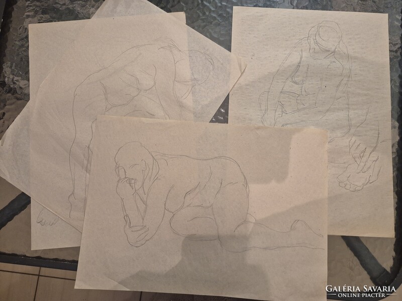 Rajz grafika nöiakt