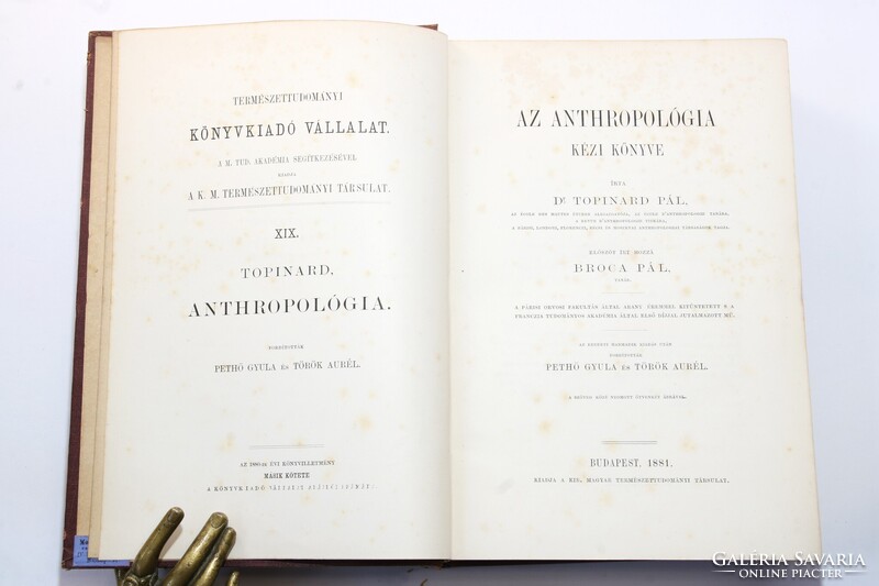 1881 - Topinard Az anthropológia kézi könyve Számos illusztrációval kiadói kötésben !!