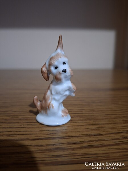 Aquincum terrier porcelán kutya. Hibátlan. Jelzett