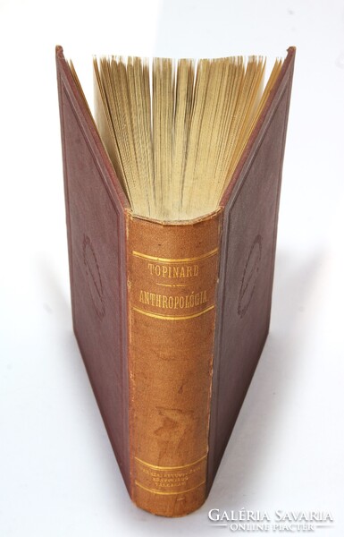 1881 - Topinard Az anthropológia kézi könyve Számos illusztrációval kiadói kötésben !!
