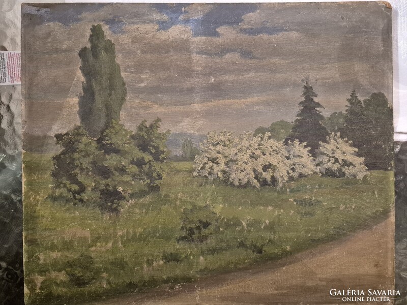 Festmény  Csermely János.