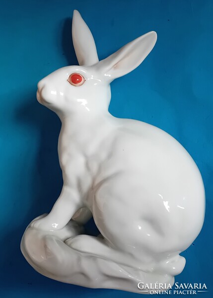 Herendi fehér , pirosszemű nyúl , nagyméretű
