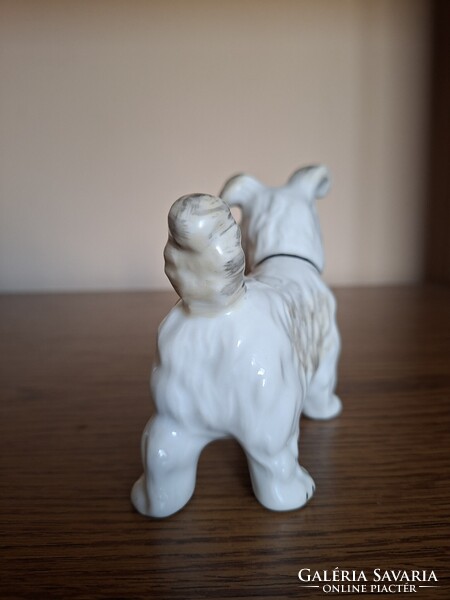 Alba Julia porcelán terrier kutya. Hibátlan. Jelzett
