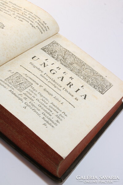 1768 - Túróczi László - Ungaria - Magyarország ismertetése Gyönyörű bőrkötésben !!