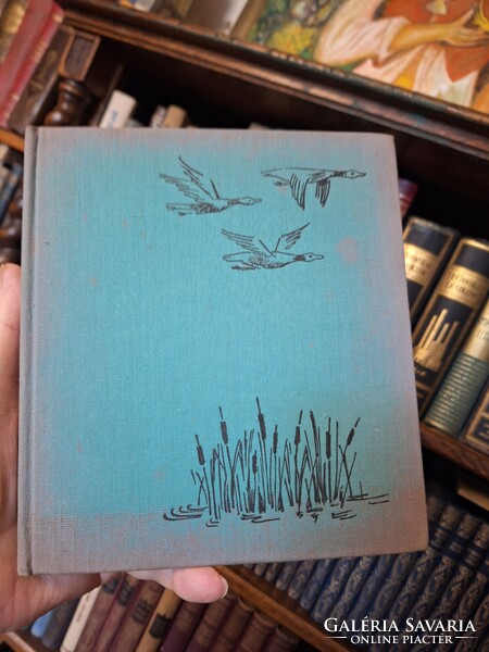 1965-ERDŐN,MEZŐN,VADVIZEKEN-SZEDERJEI ÁKOS / ÁKOSNÉ ---GONDOLAT