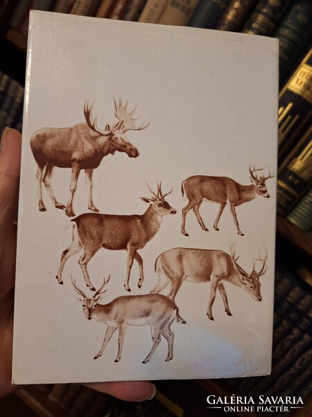 1979 GONDOLAT-POSZTHUMUSZ ELSÓ KIADÁS SZÉCHÉNYI ZSIGMOND:SZARVASOK NYOMÁBAN! extra gyűjtői-boritós!