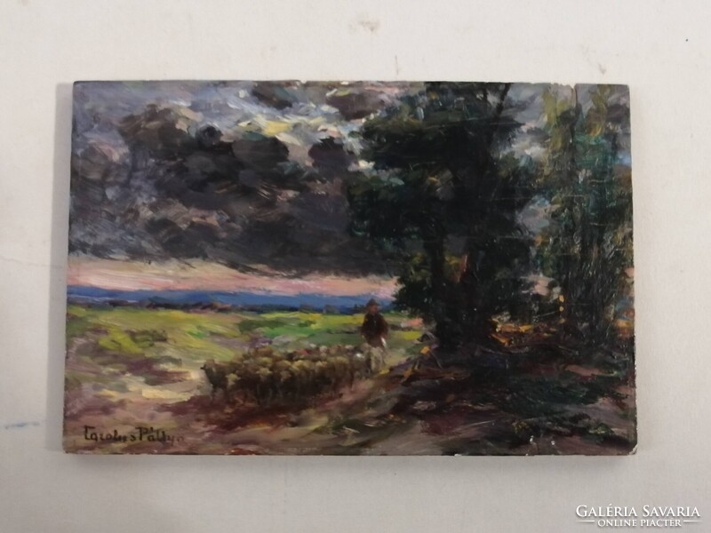 PÁLLYA CAROLUS /1875-1948/ - BIRKÁKAT TERELŐ JUHÁSZ