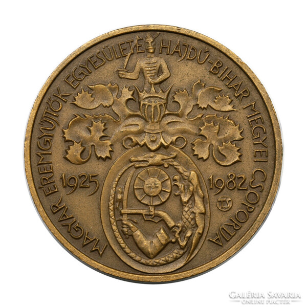 MÉE Bocskay István bronz emlékérem 1982 Debrecen