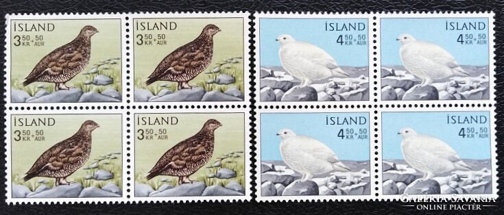 IS388-9n / Izland 1965 Madarak a Szikla-hegyen : Hófajdok bélyegsor postatiszta négyestömbben
