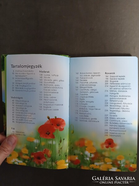 Természetbarátok zsebkönyve (Virágok, fák, madarak, rovarok) - Spotter's Guide