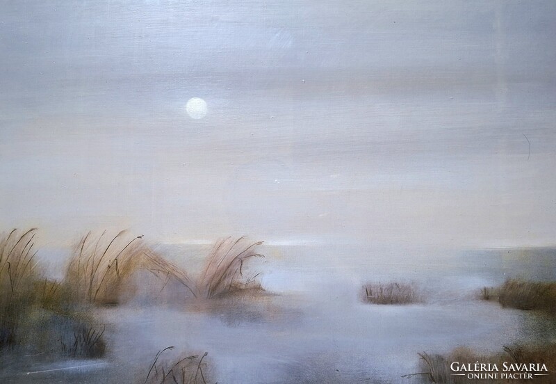 Zöld Anikó: Holdfényes este a Balaton partján - olajfestmény szép keretben! 70x50 cm, Balatoni nádas