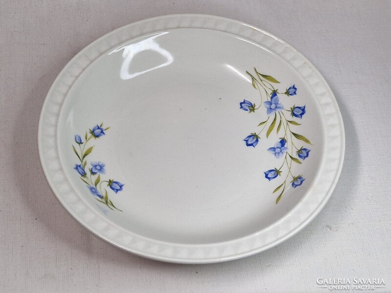 Régi Ditmar Urbach virág mintás porcelán tányér hibátlan állapotban 22,5 cm. átmérőjű