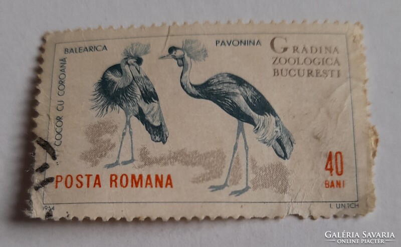 1964 Bukaresti Állatkert