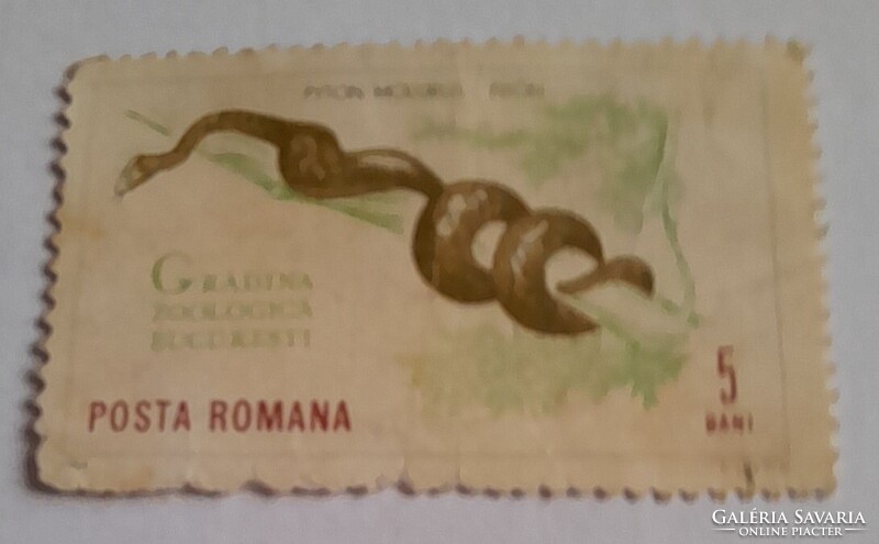 1964 Bukaresti Állatkert