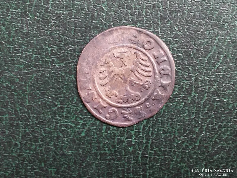 I. Zsigmond lengyel ezüst 1/2 garas, 1508 .R.