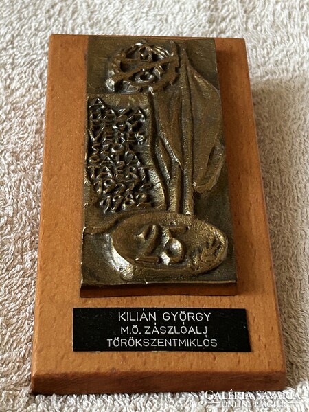 Munkásőrség 25év A Haza Fegyveres Szolgálatáért 1957-1982 Kilián György M.Ö.Zászlóalj plakett