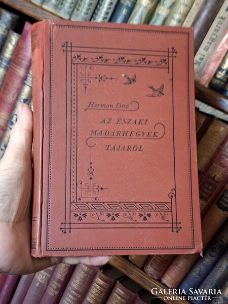 1893-unikális ritkaság! HERMAN OTTÓ:AZ ÉSZAKI MADÁRHEGYEK TÁJÁRÓL-ELSŐ KIADÁS -KIRÁLYI M.T.T.