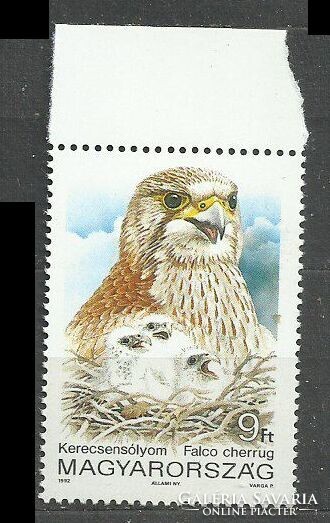 Birds 9 Ft