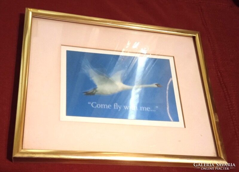 KLM Framed 