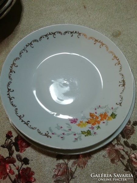 Roman Porcelain Plates, 2 pieces, as shown in the pictures. Many auctions and promotions