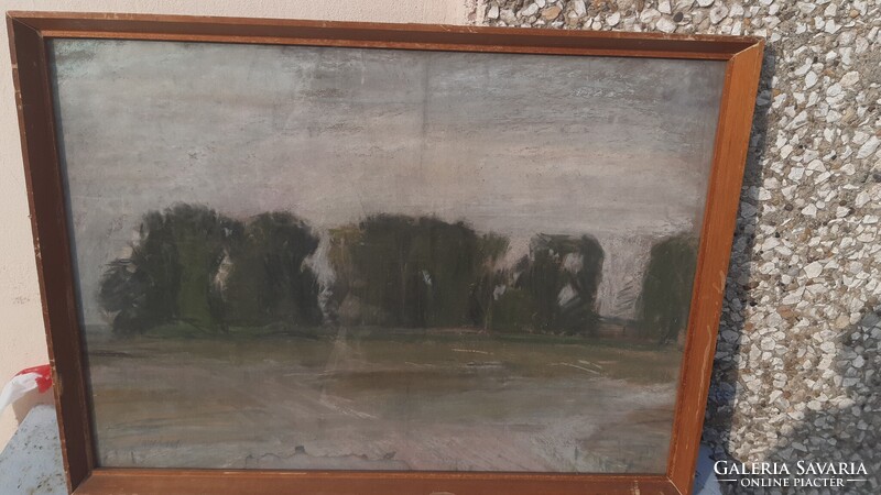 Zsigmond Imreh: Sajó bank embankment with trees