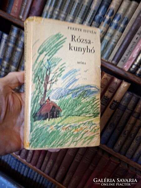 1973  posthumous -FEKETE ISTVÁN first edition: RÓZSAKUNYHÓ -stories and sketches