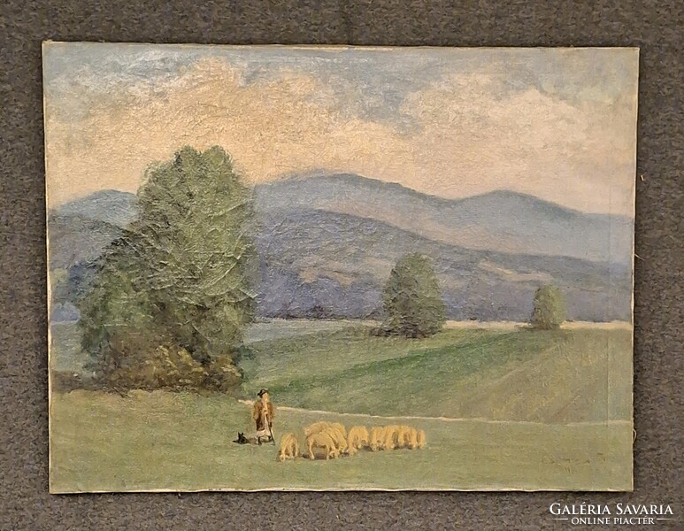 1ft-ról!  Csimcsa J. szignós.  Tájkép állatokkal.  Olaj/vászon.  60x80cm!  Jelzett!