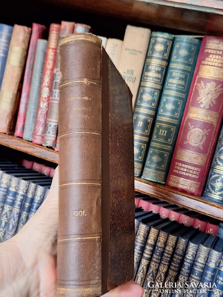1901 teljes évfolyam-WARTHA VINCE azerk. TERMÉSZETTUDOMÁNYI KÖZLÖNY-szép korabeli egybekötés