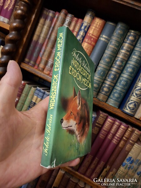 István Fekete posthumous first edition! 1987 Paperback hunting in the forest, field-agricultural books-