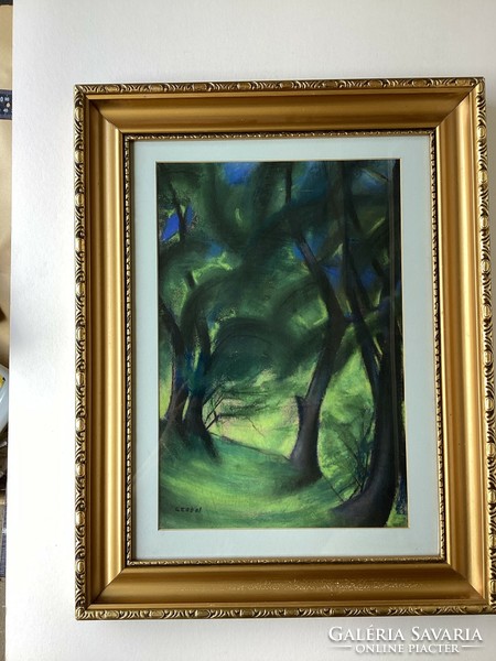 In the forest.