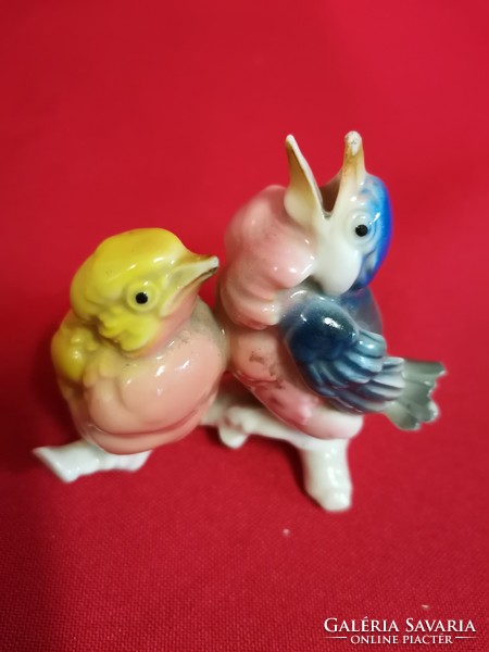 Two Small ENS Birds!